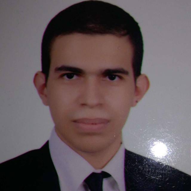 Mohamed Mahmoud Fathy Mahmoud